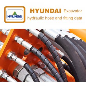Data of hydraulic hose and fittings on HYUNDAI Excavator