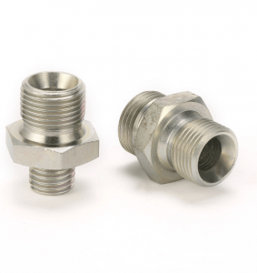 DKOL MALE X BSP MALE