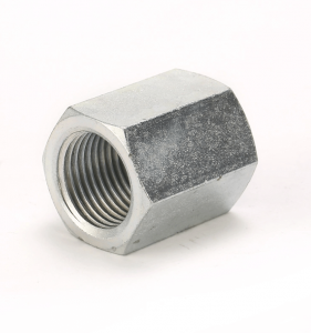 BSP FEMALE X BSP FEMALE  7B