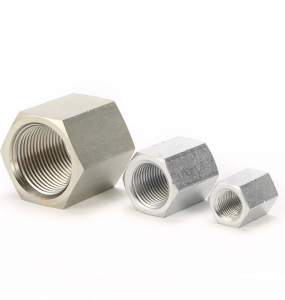 BSP FEMALE X BSP FEMALE  7B