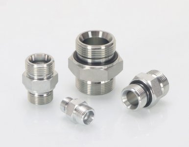 BSP MALE X DKOS MALE1DB