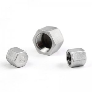 Hex Cap Female SS304 Stainless Steel