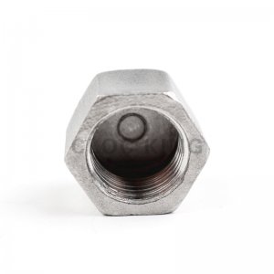 Hex Cap Female SS304 Stainless Steel